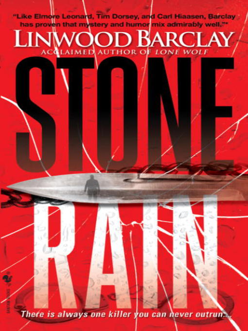 תמונה של  Stone Rain